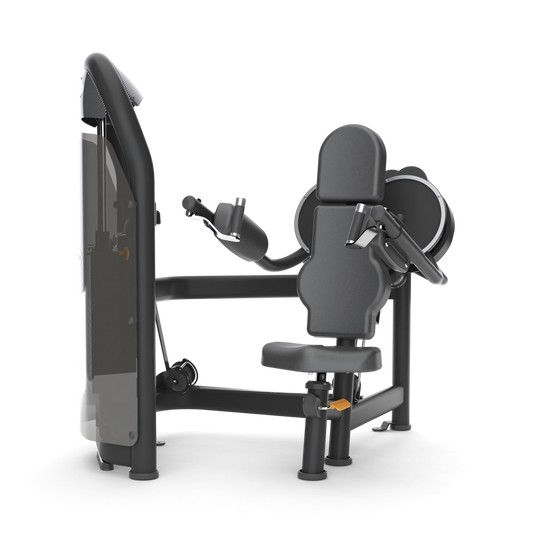 Matrix Aura Series Lateral Raise – Commercial Strength