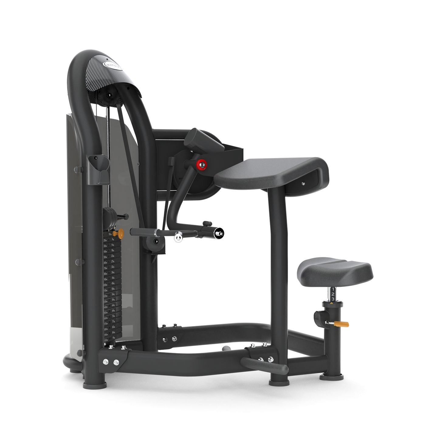 Matrix Aura Series Arm Curl - Commercial Curl Machine