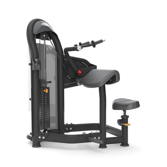 Matrix Aura Series Triceps Extension – Commercial Strength