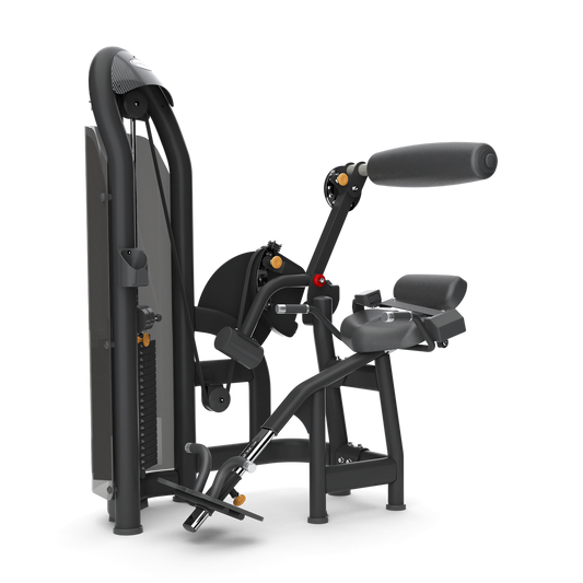 Matrix Aura Series Back Extension – Commercial Strength