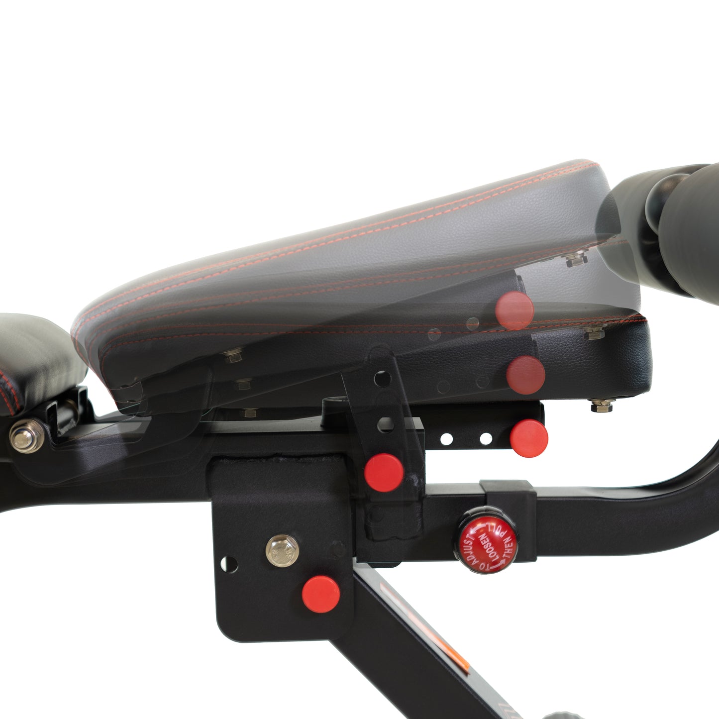 Multi-Position Adjustable Weight Bench